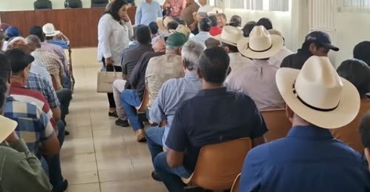 Sinaloa. El apoyo de 800 pesos por tonelada acumula varios meses de retraso.